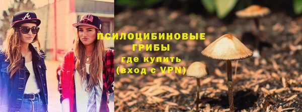 стафф Краснослободск